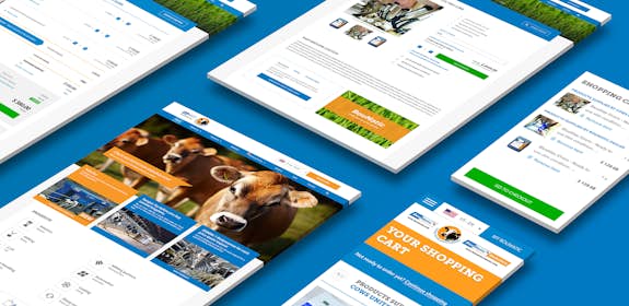 Boumatic - Global website with B2B webshop - Header