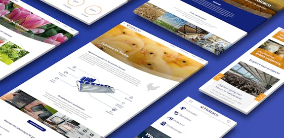 Hotraco Group - Corporate Website - Header