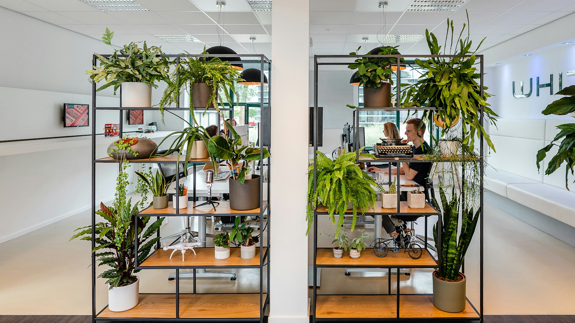 WHITE Office Client succes team
